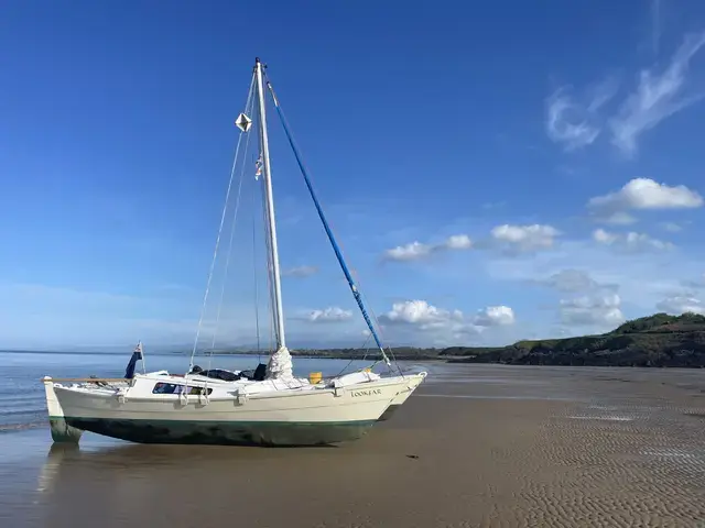 Wharram Tiki 26