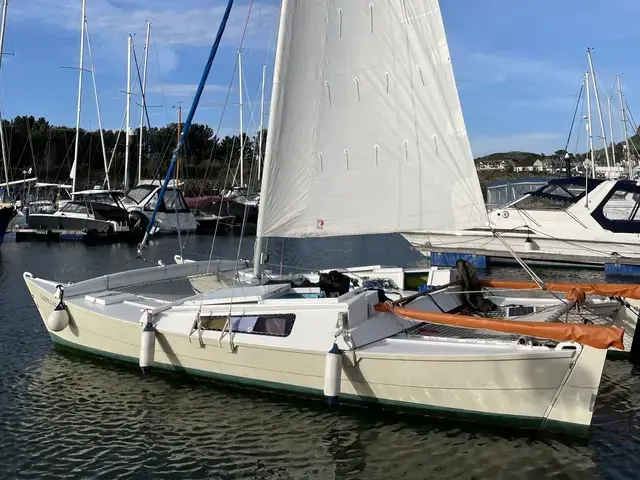 Wharram Tiki 26