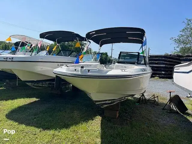 Sea Ray SPX 210 OB