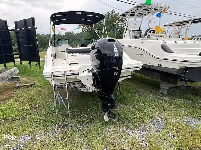 Sea Ray 210 SPX