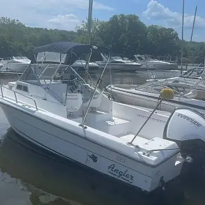 1998 Angler 220 WA