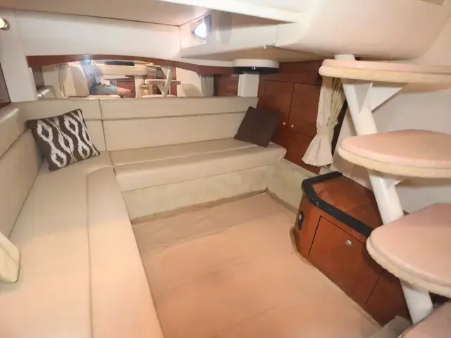 Sea Ray 340