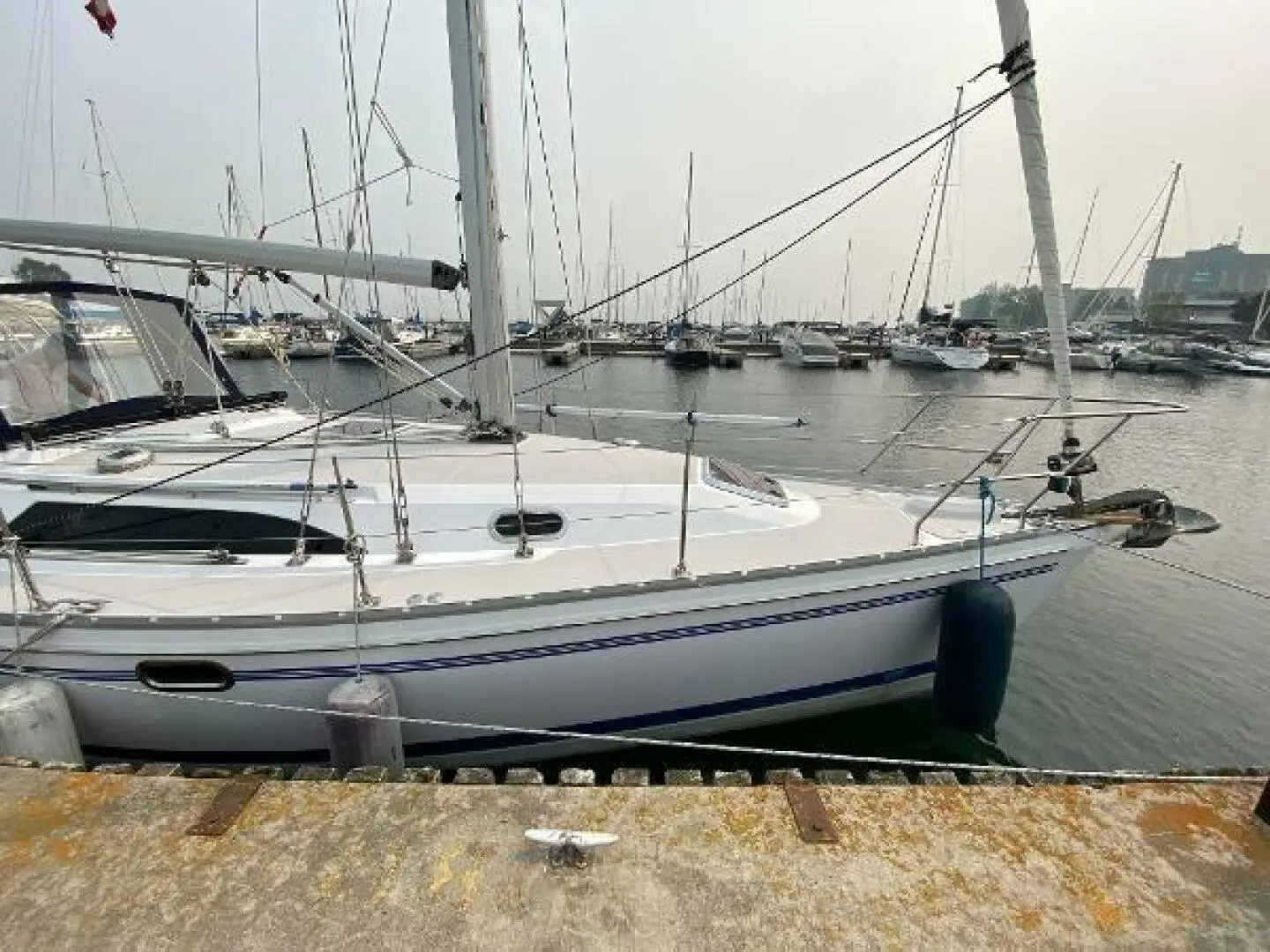 2014 Catalina 355