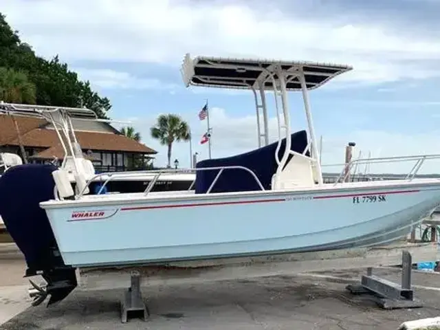 Boston Whaler 190 Montauk