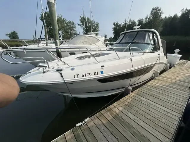 Sea Ray 33