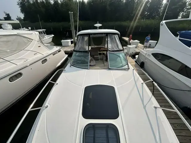 Sea Ray 33