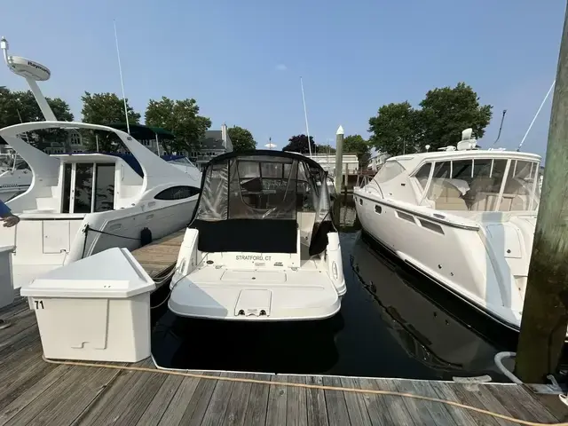 Sea Ray 33