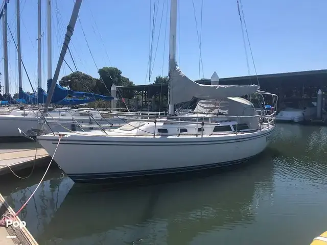 Catalina 34