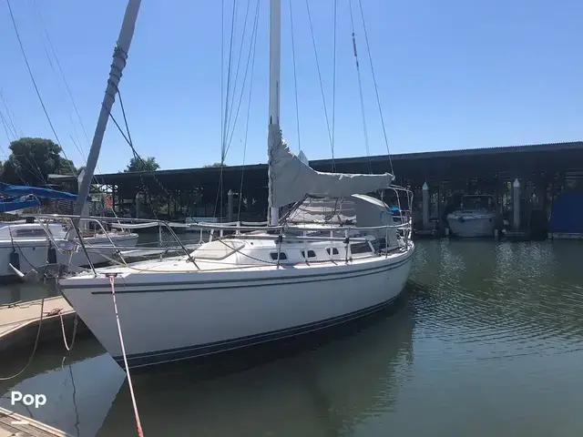 Catalina 34