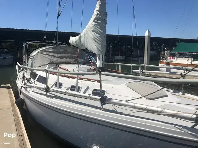 Catalina 34