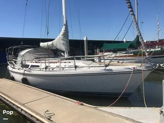 Catalina 34