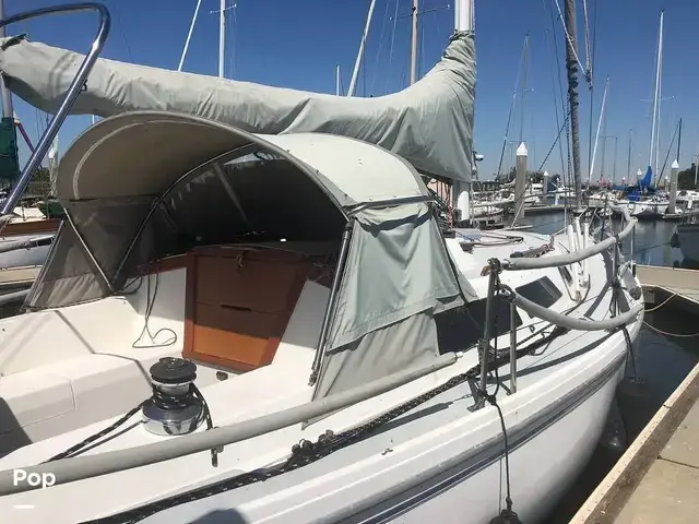 Catalina 34