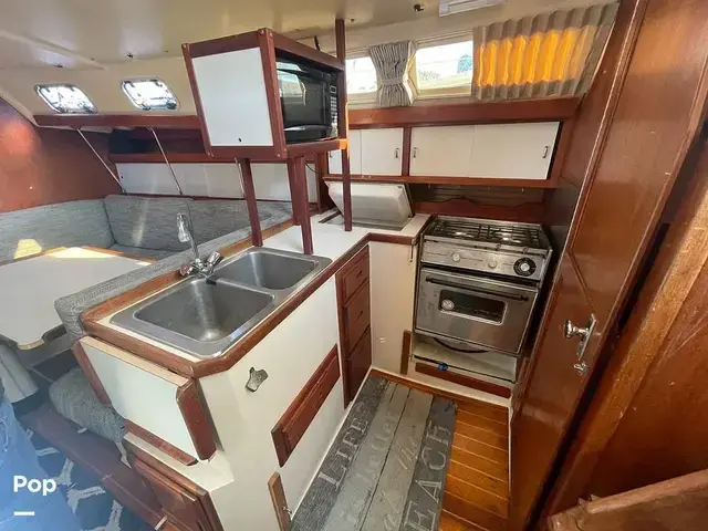 Catalina 34