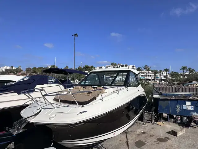 Sea Ray Sundancer 320