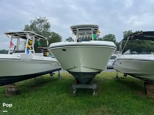 Bayliner Trophy 24 Cc