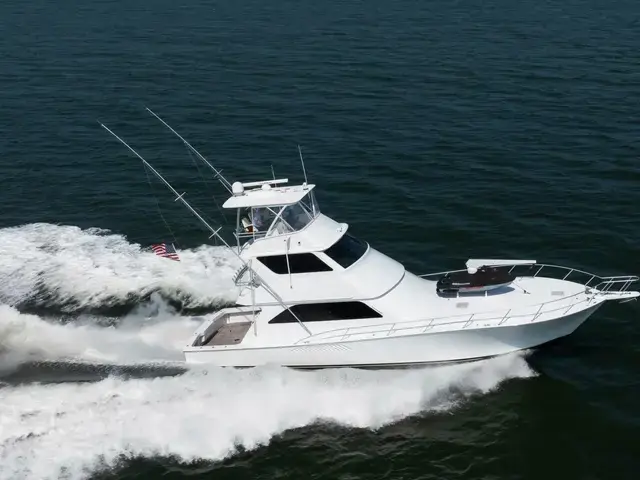 Viking Yachts 61