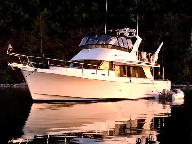 Ocean Alexander 45'