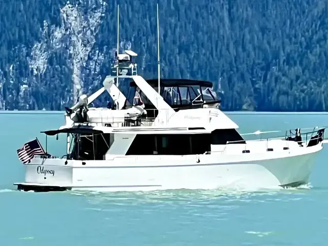 Ocean Alexander 45'