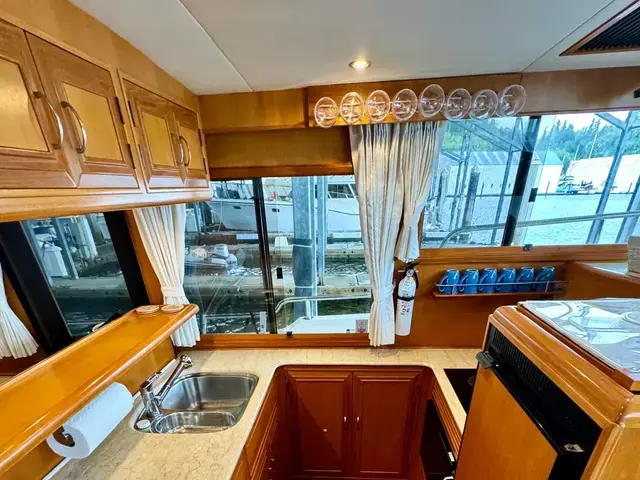 Ocean Alexander 45'