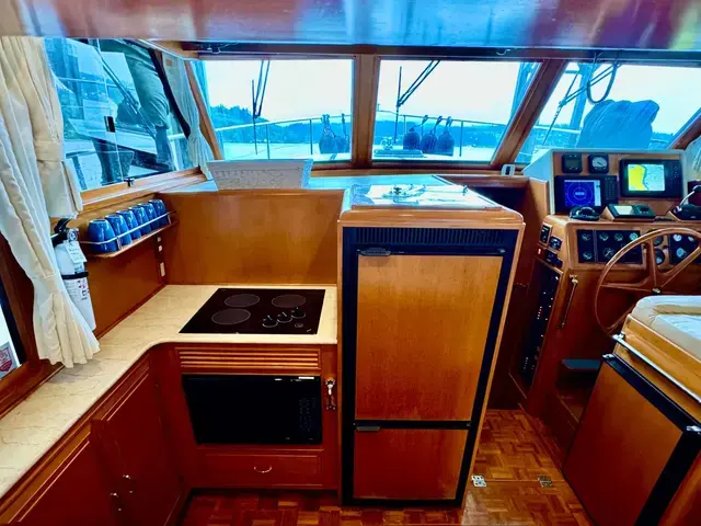 Ocean Alexander 45'