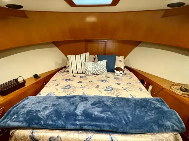 Ocean Alexander 45'