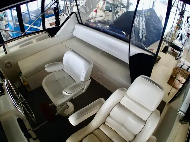 Ocean Alexander 45'