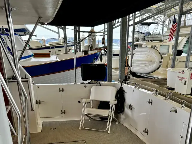 Ocean Alexander 45'