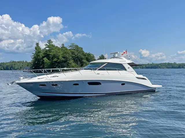 Sea Ray 45'