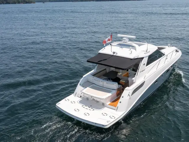 Sea Ray 45'