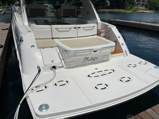 Sea Ray 45'