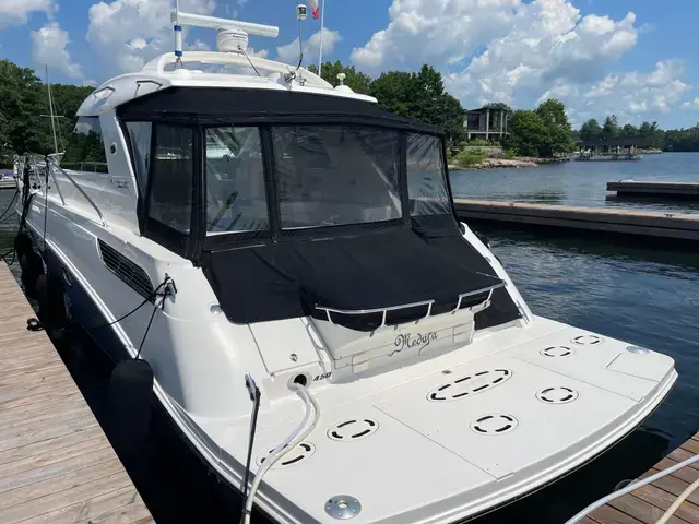 Sea Ray 45'