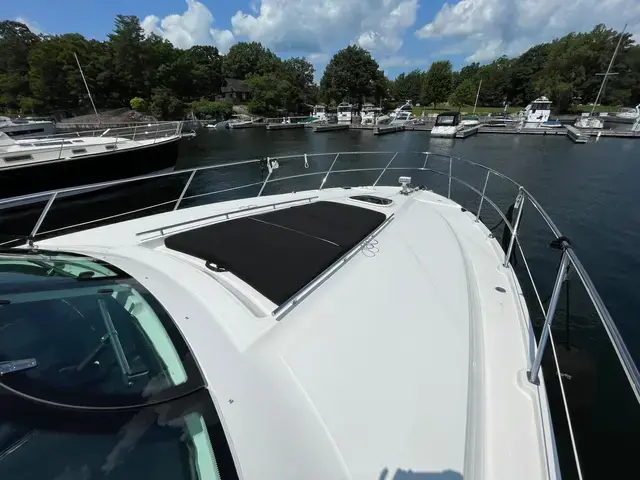 Sea Ray 45'