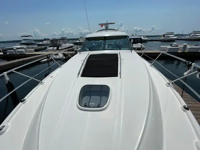 Sea Ray 45'