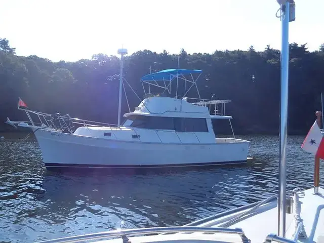 Mainship 34 Cruiser