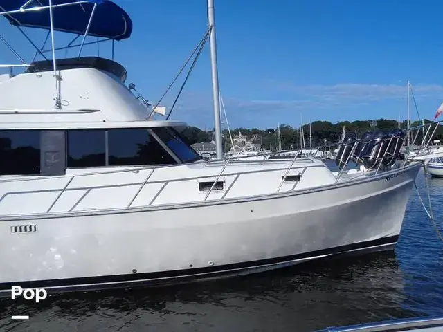 Mainship 34 Cruiser