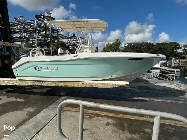 Robalo 202 Explorer