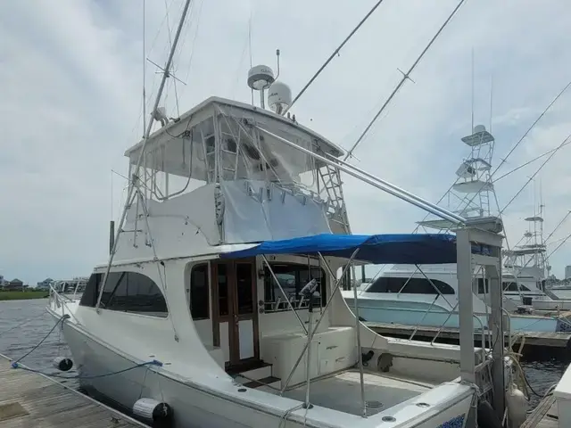 Topaz Sportfish