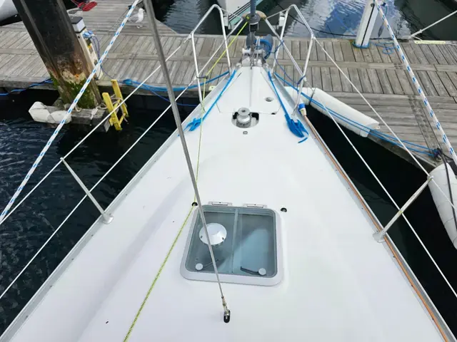 Jeanneau Sun Odyssey 37