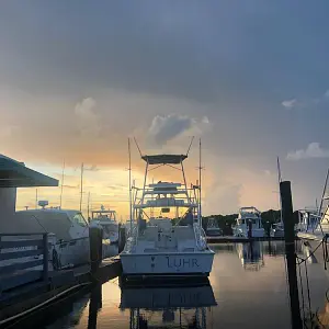 1995 Luhrs Tournament 320 Open