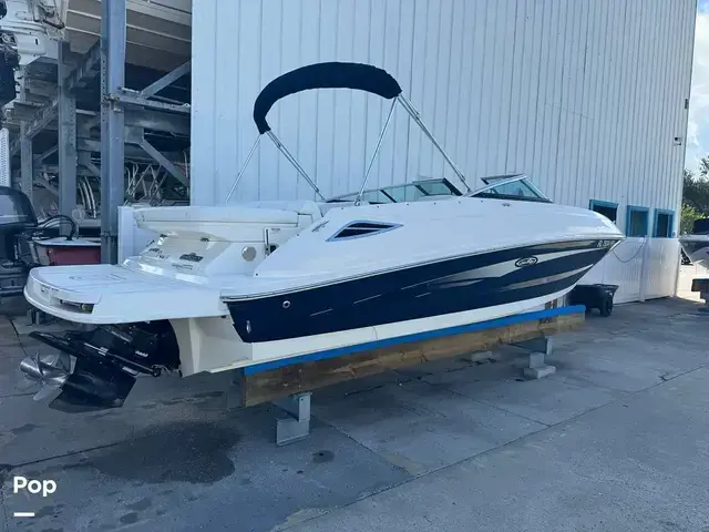 Sea Ray Sundeck 240