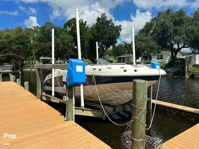 Sea Ray 240 Sundeck Outboard