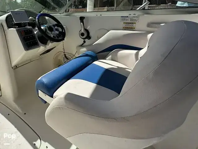 Sea Ray 240 Sundeck Outboard