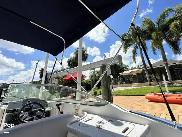 Sea Ray 240 Sundeck Outboard