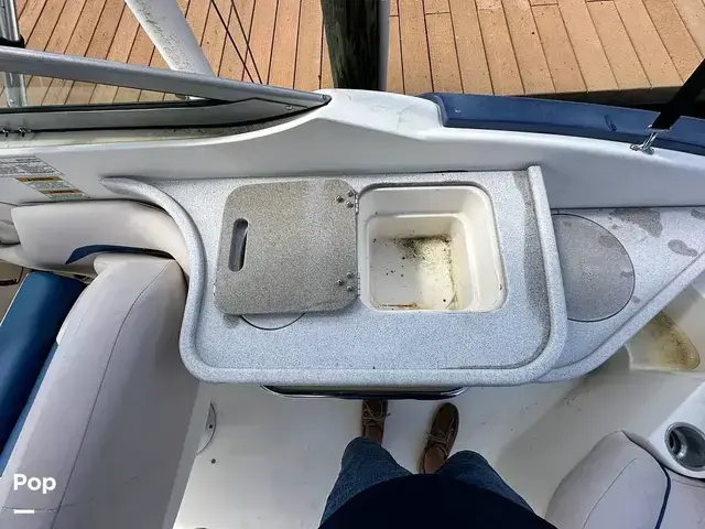 Sea Ray 240 Sundeck Outboard