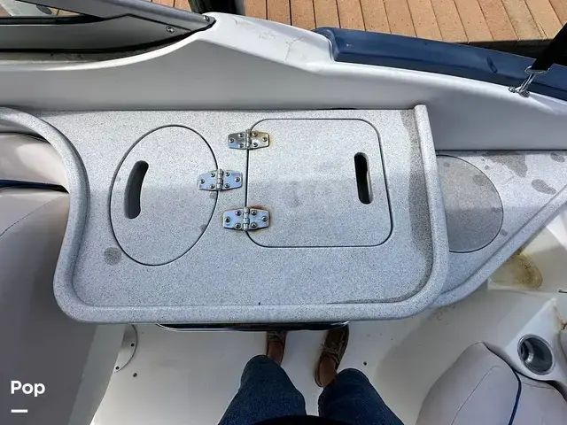 Sea Ray 240 Sundeck Outboard