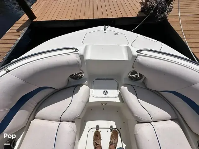 Sea Ray 240 Sundeck Outboard