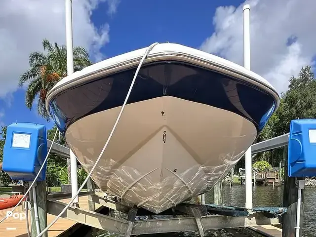 Sea Ray 240 Sundeck Outboard