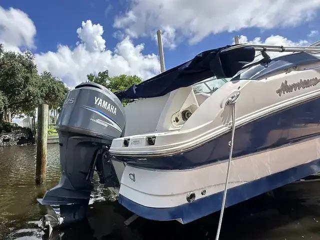 Sea Ray 240 Sundeck Outboard