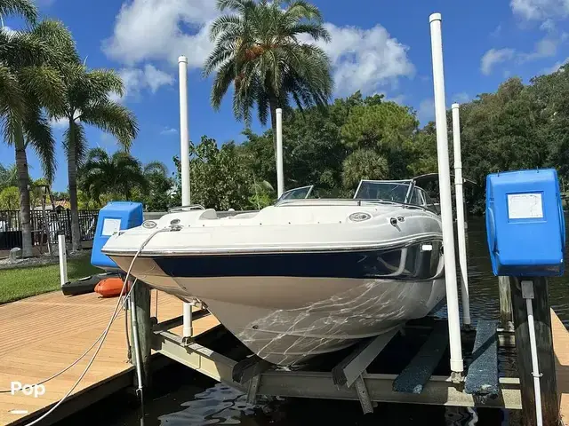 Sea Ray 240 Sundeck Outboard