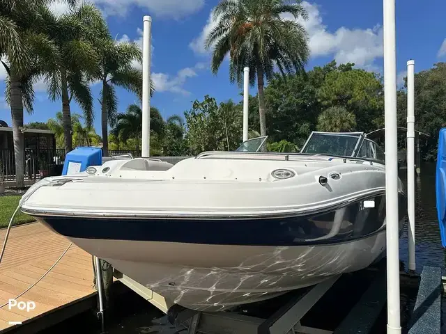 Sea Ray 240 Sundeck Outboard